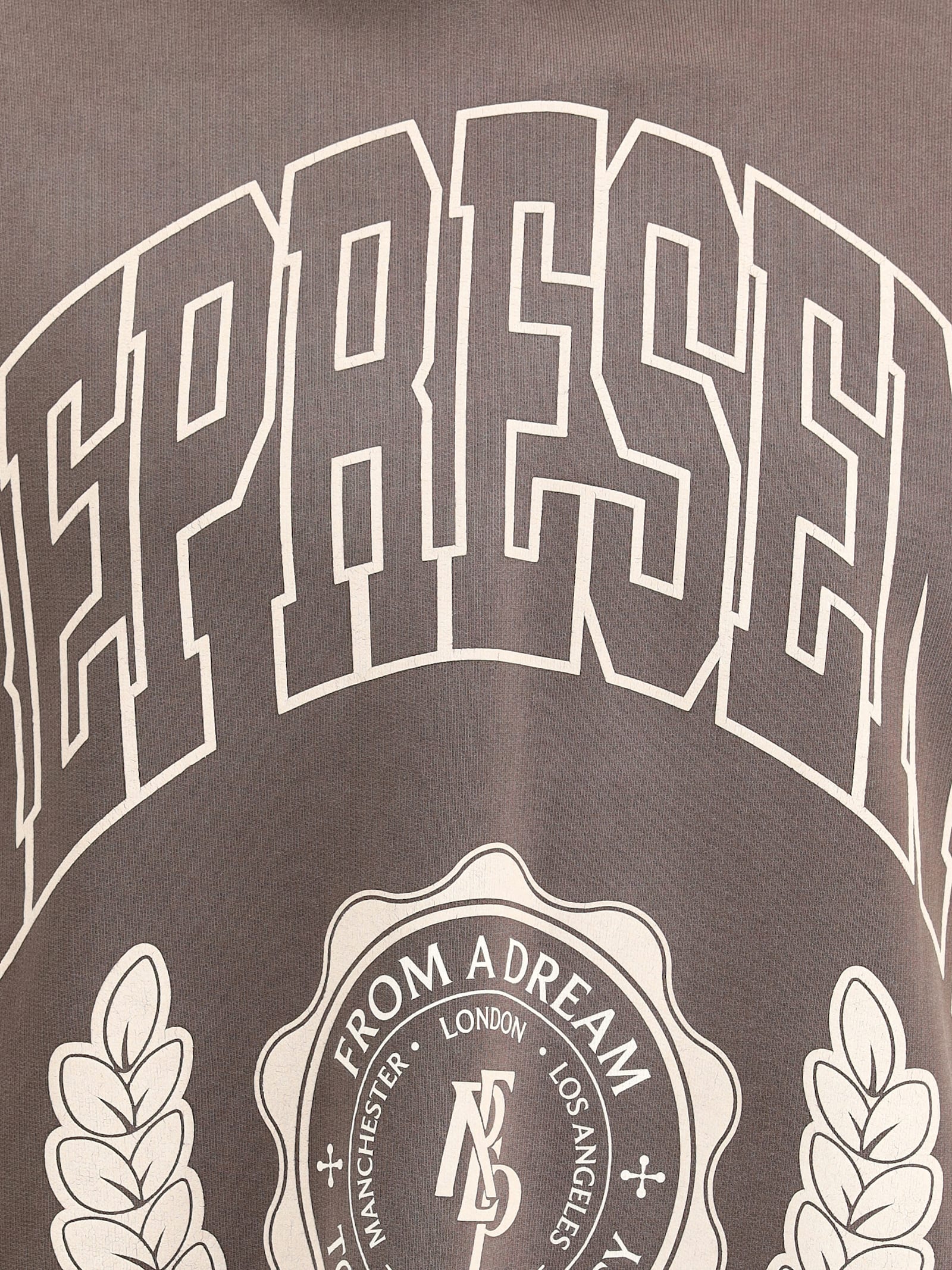 Represent Cotton Legacy Crest Hoodie In Brown