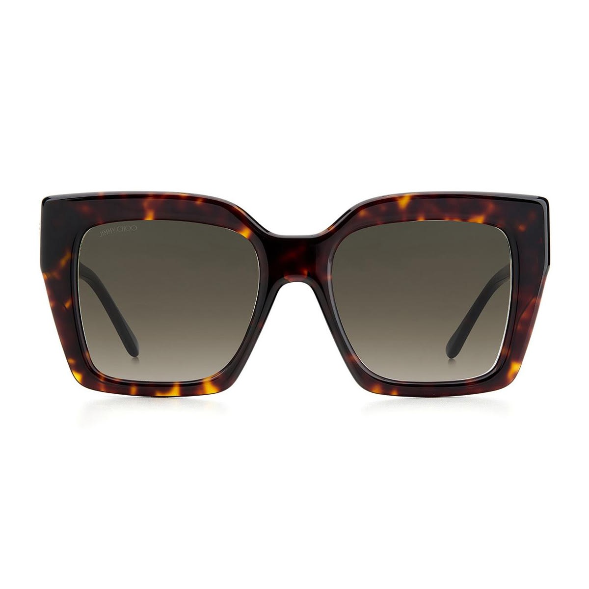 Shop Jimmy Choo Eleni/g/s Sunglasses In Marrone