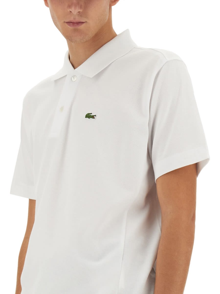 Shop Comme Des Garçons Shirt Polo  X Lacoste In White