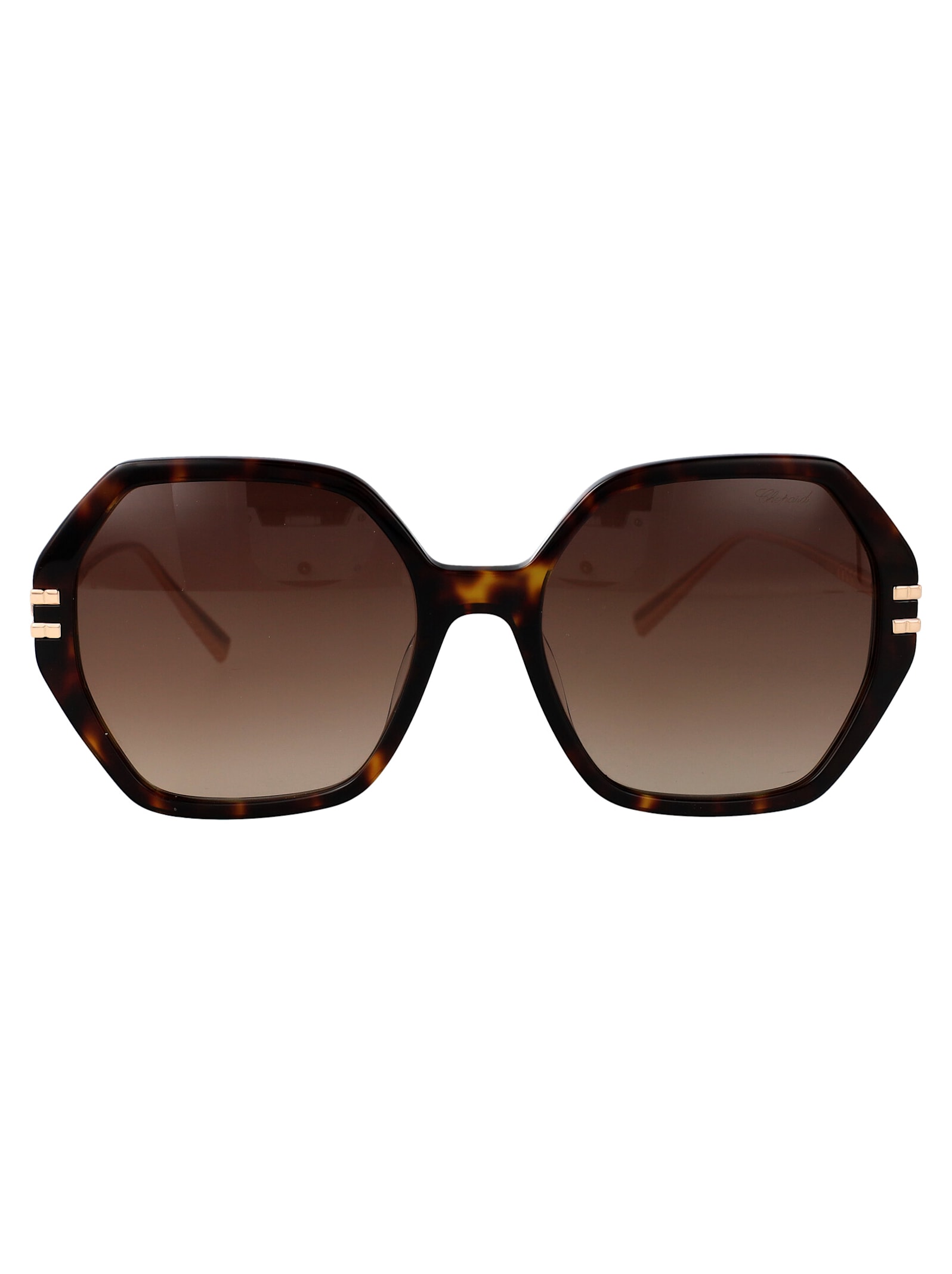 Sch370m Sunglasses