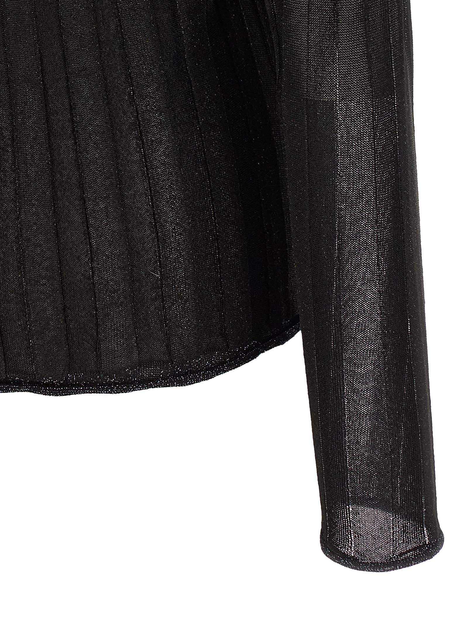 Fabiana Filippi Turtleneck Sweater With Ribbed Sheer Fabric In Black