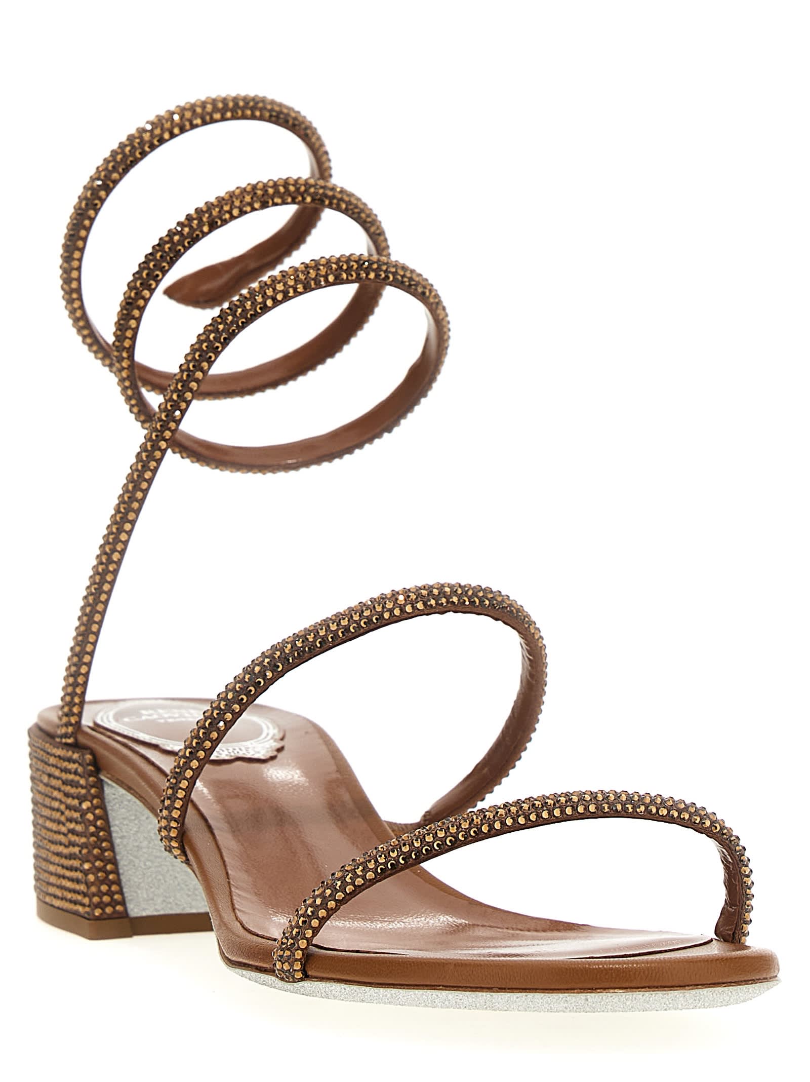 Shop René Caovilla Cleo Sandals In Brown