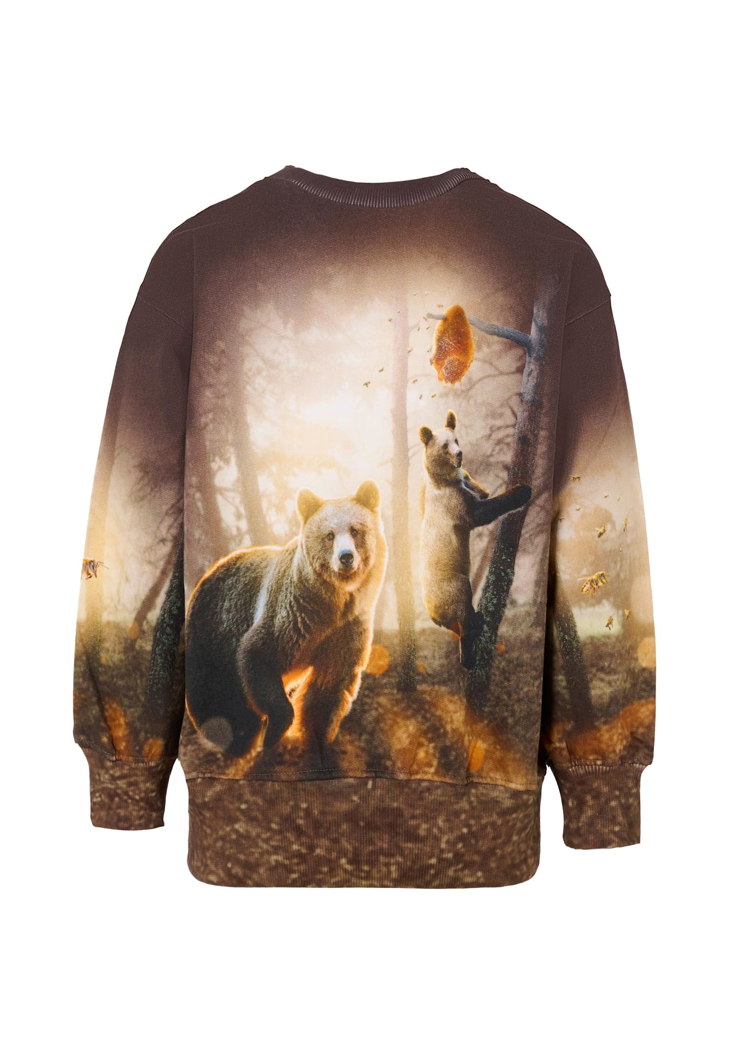 Molo Brown Sweatshirt For Boy With Bear In Brown