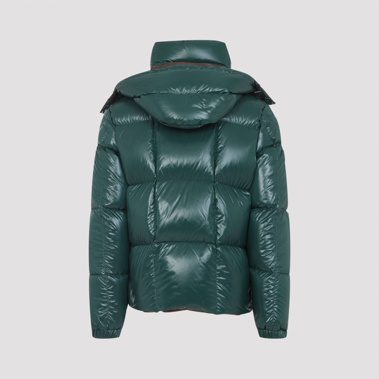 Moncler Parana Glossy Hooded Short Down Jacket Clothing In Multi