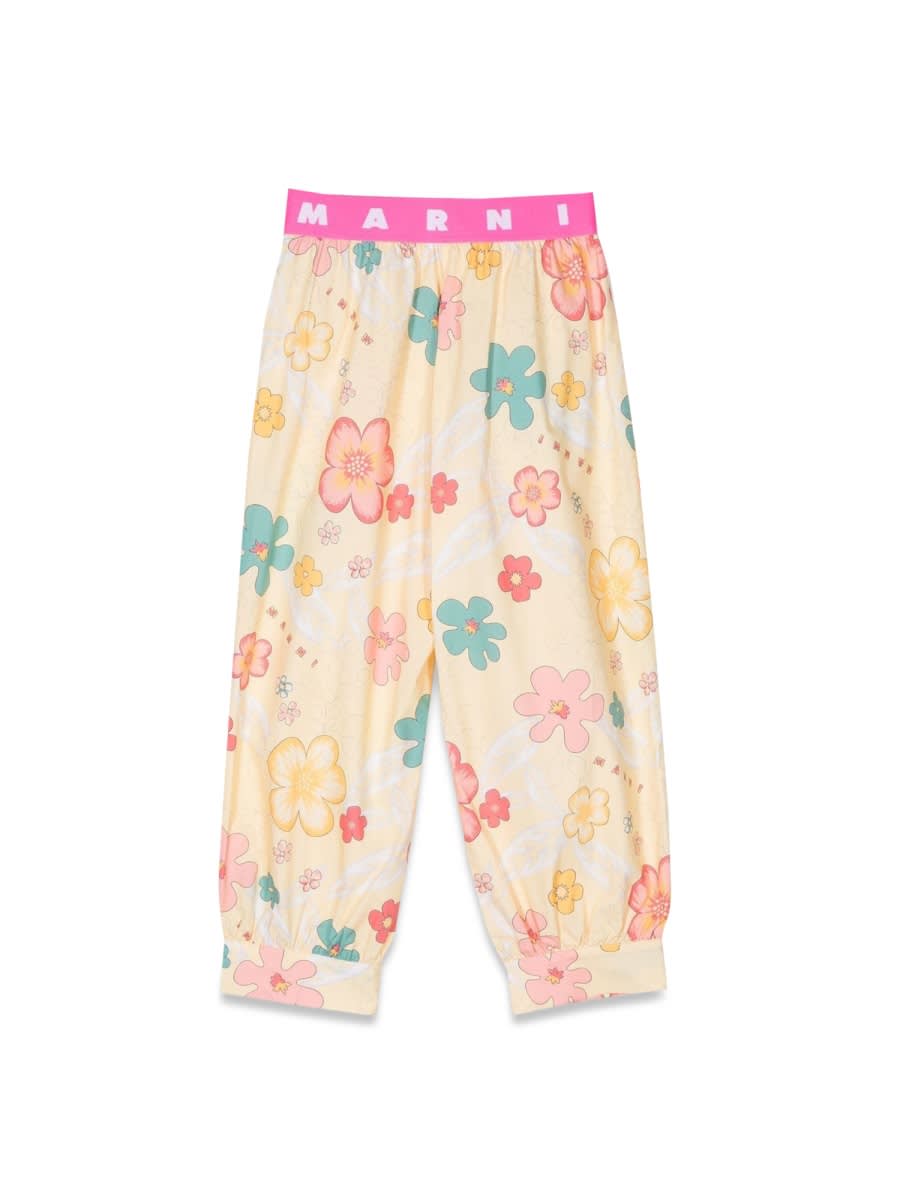 Marni Fancy Pants In Multicolour