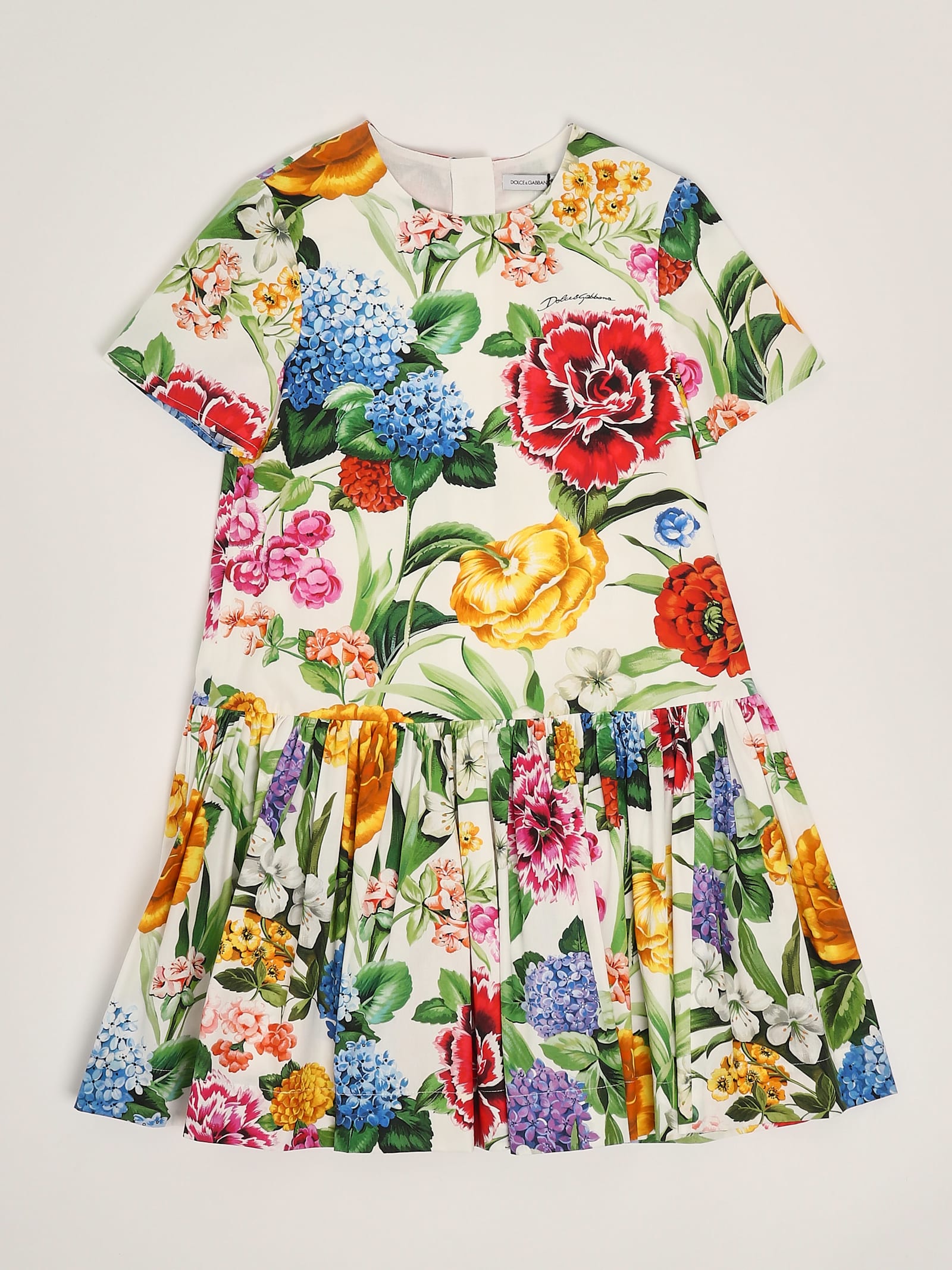 Dolce & Gabbana Short Sleeves Dress Dress In Multi