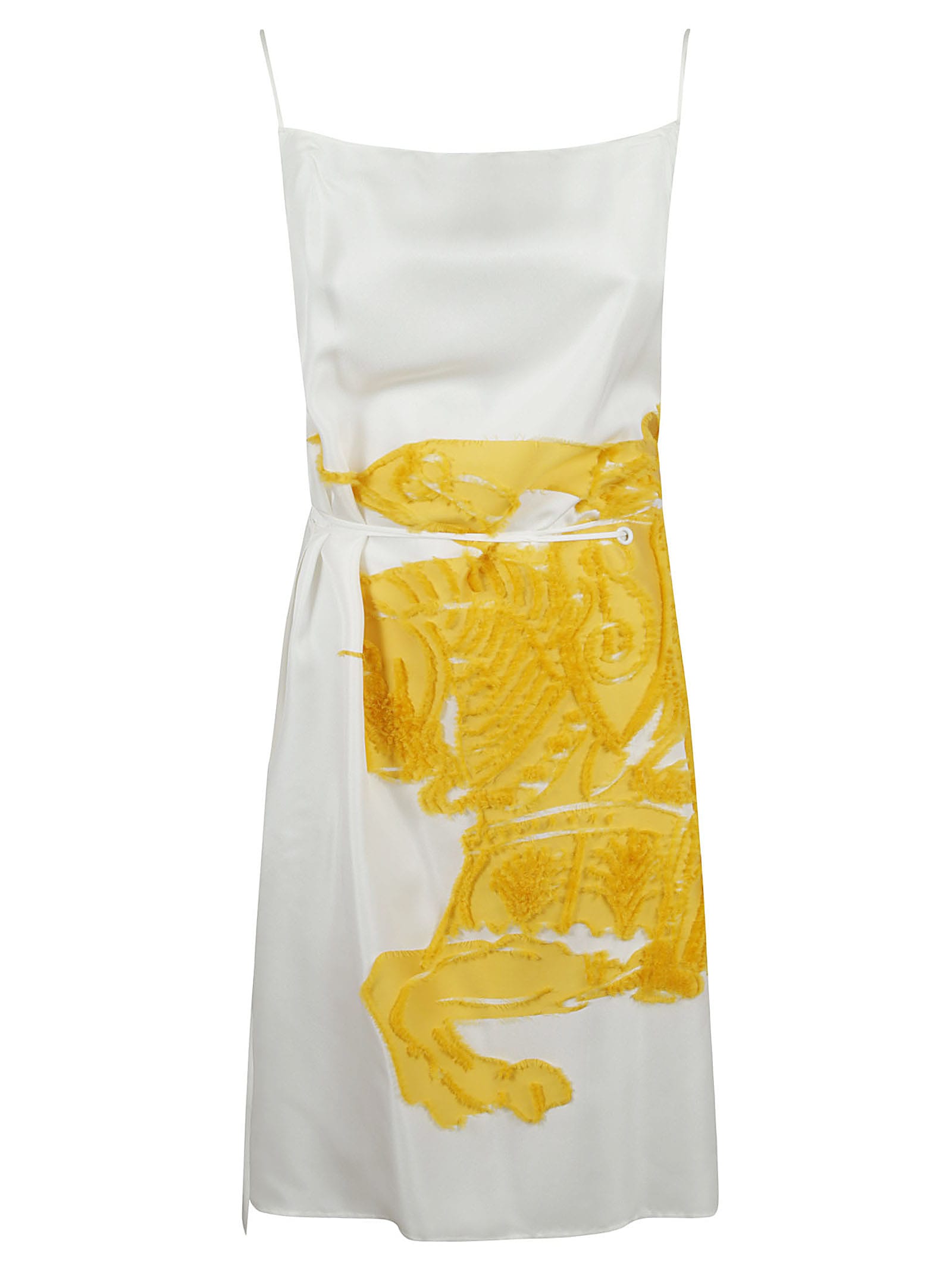 Shop Burberry Sleeveless Printed Dress In Sunflower Ip Pattern