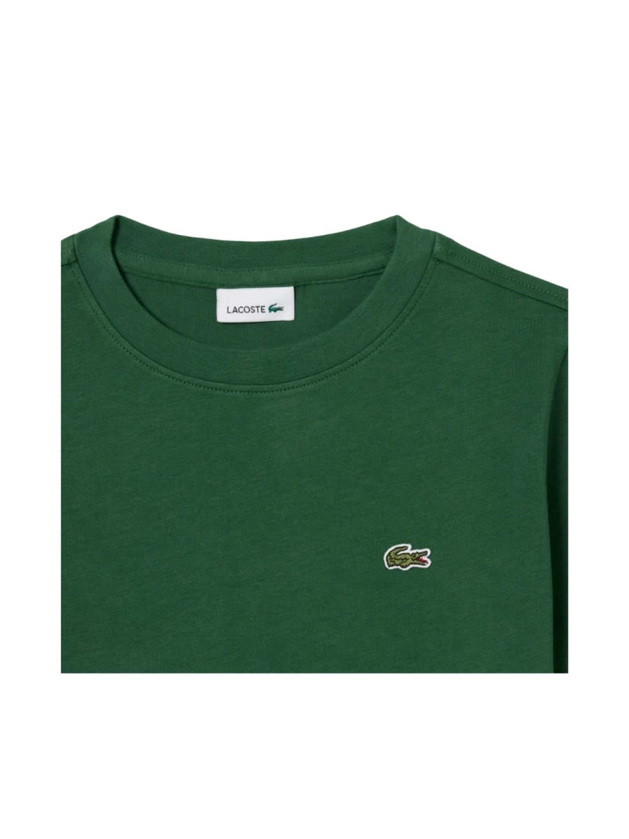 Lacoste T-shirt In Green