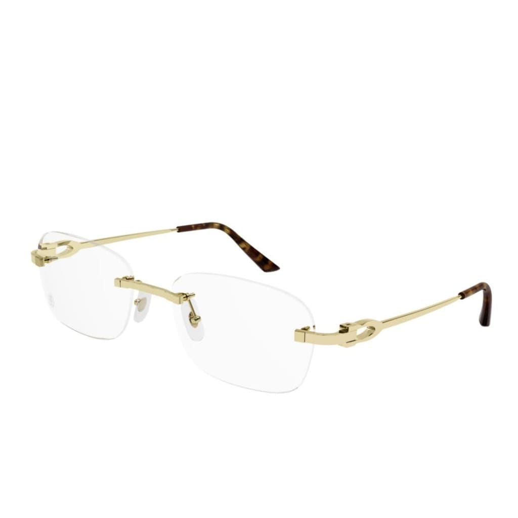 Cartier Eyewear CT0290O Glasses