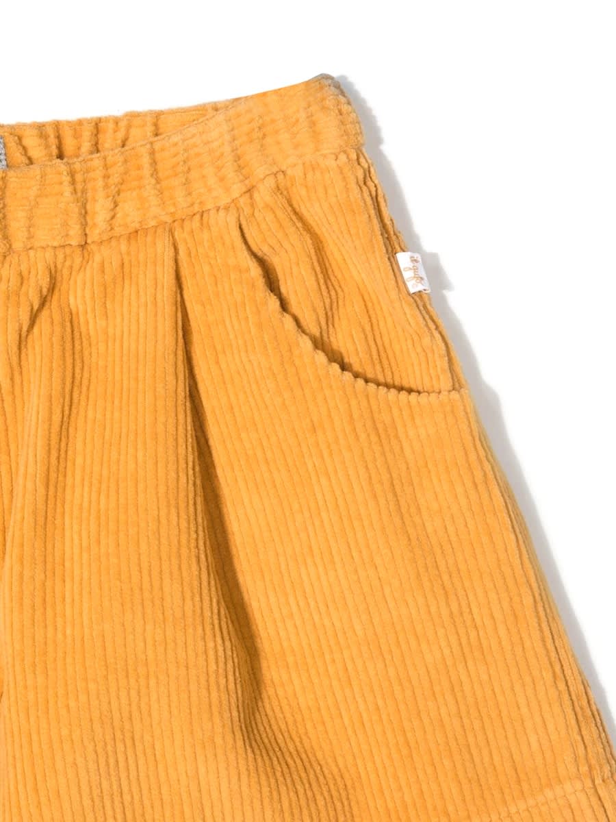Shop Il Gufo Shorts Shorts In Yellow