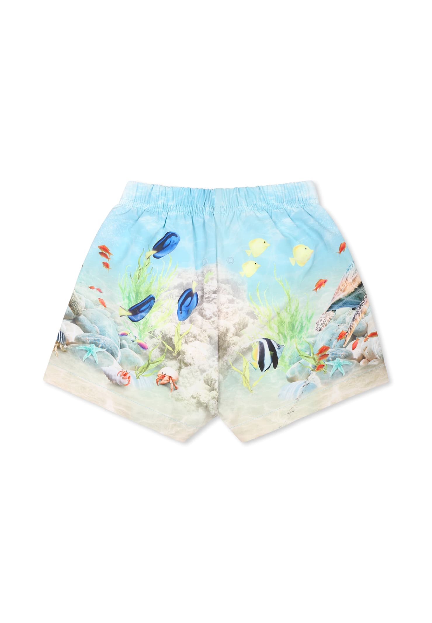 Molo Light Blue Swim Shorts For Baby Boy With Ocean Print In Light Blue