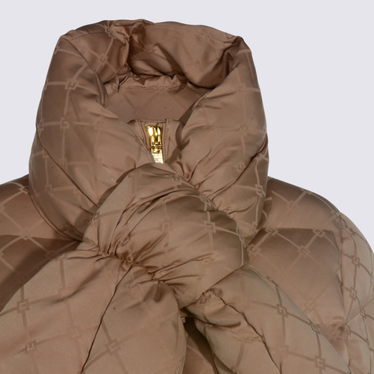 Elisabetta Franchi Brown Down Jacket In Brown
