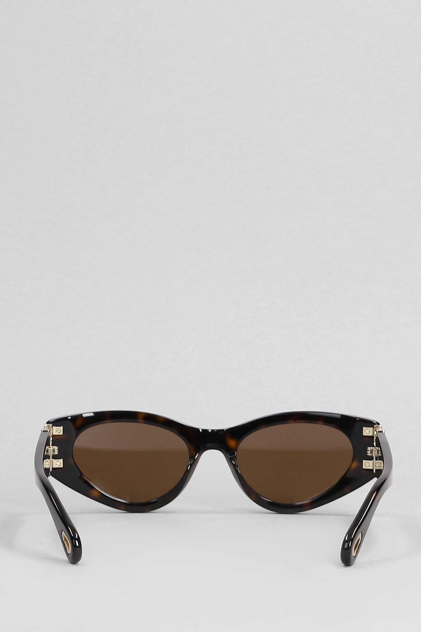 Chloé Sunglasses In Brown Acetate In Brown
