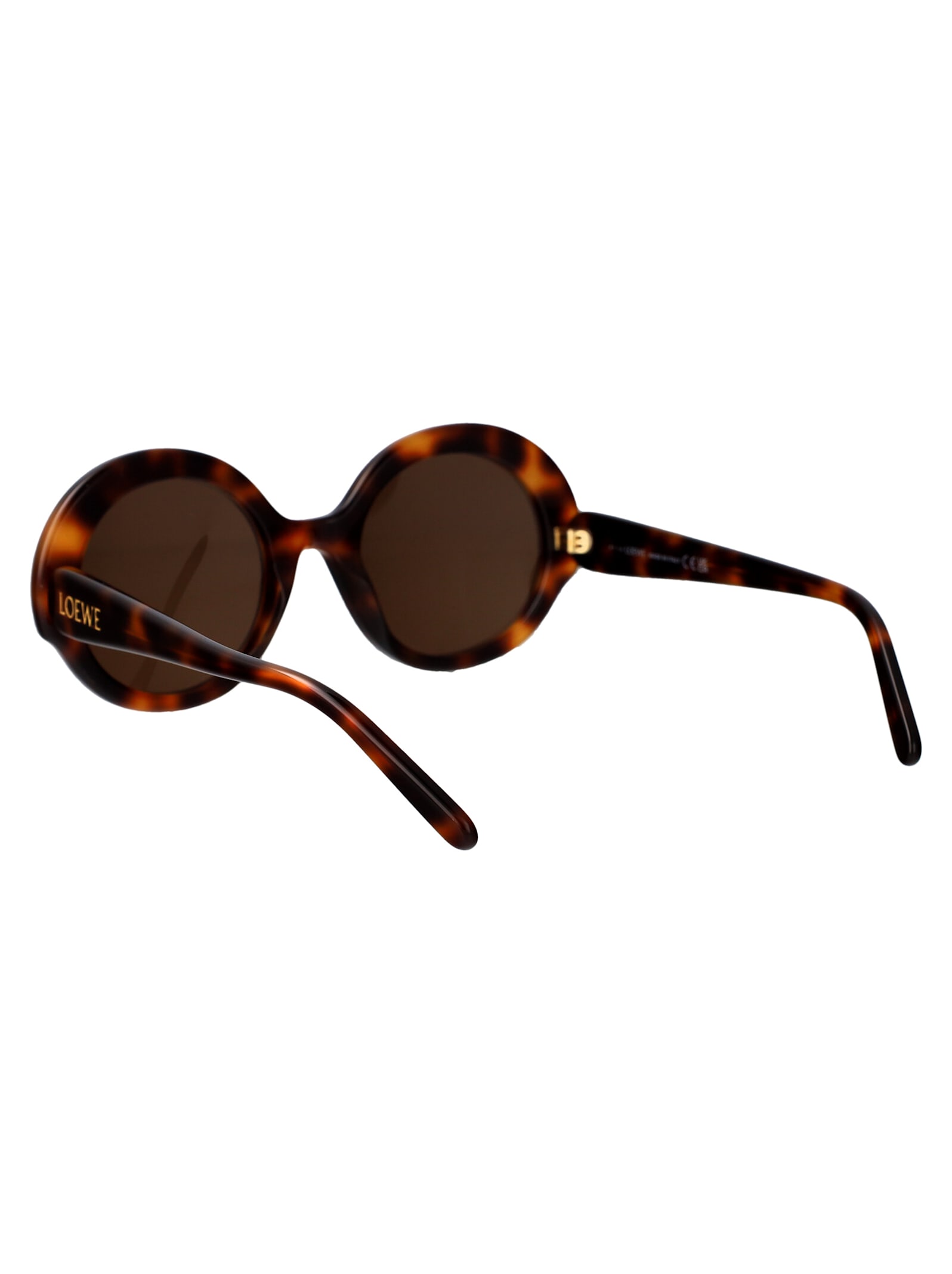 Shop Loewe Lw40135i Sunglasses In Havana