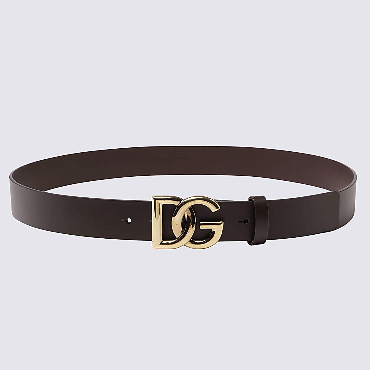 Shop Dolce & Gabbana Dark Brown Leather Belt In Brown/gold