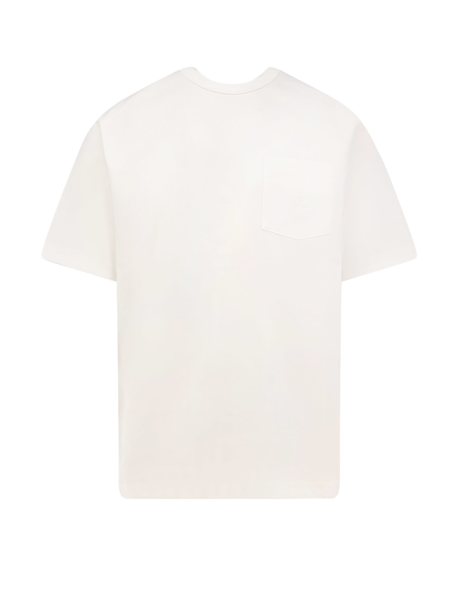 The North Face Dome Relaxed Cotton T-shirt In Neutral