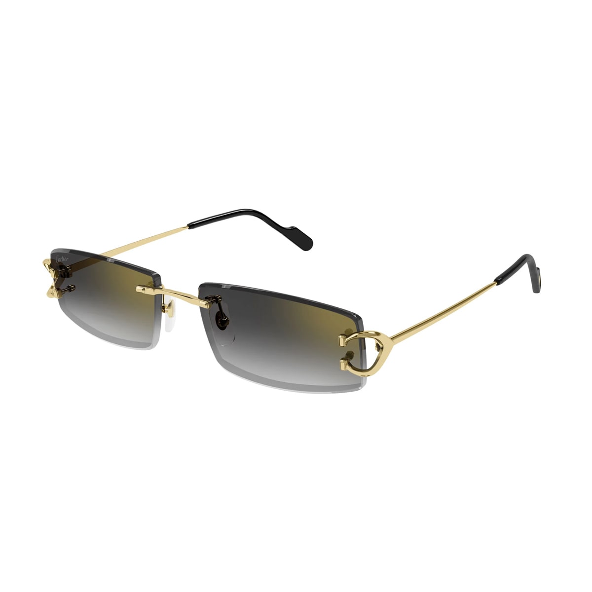 Cartier Ct0550 S Décor C Classique De In Black