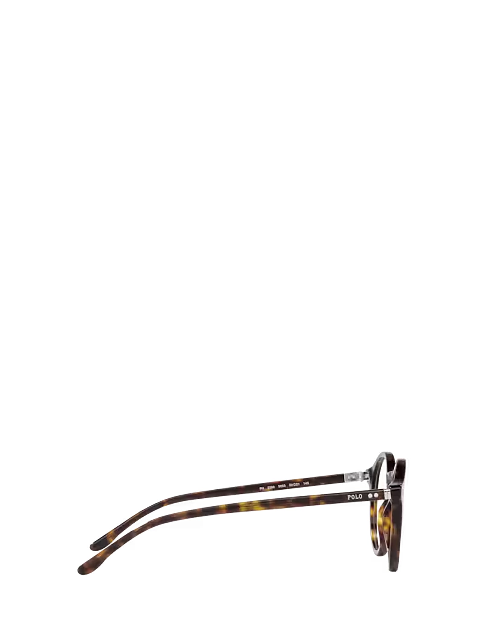 Shop Polo Ralph Lauren Ph2260 Shiny Dark Havana Glasses