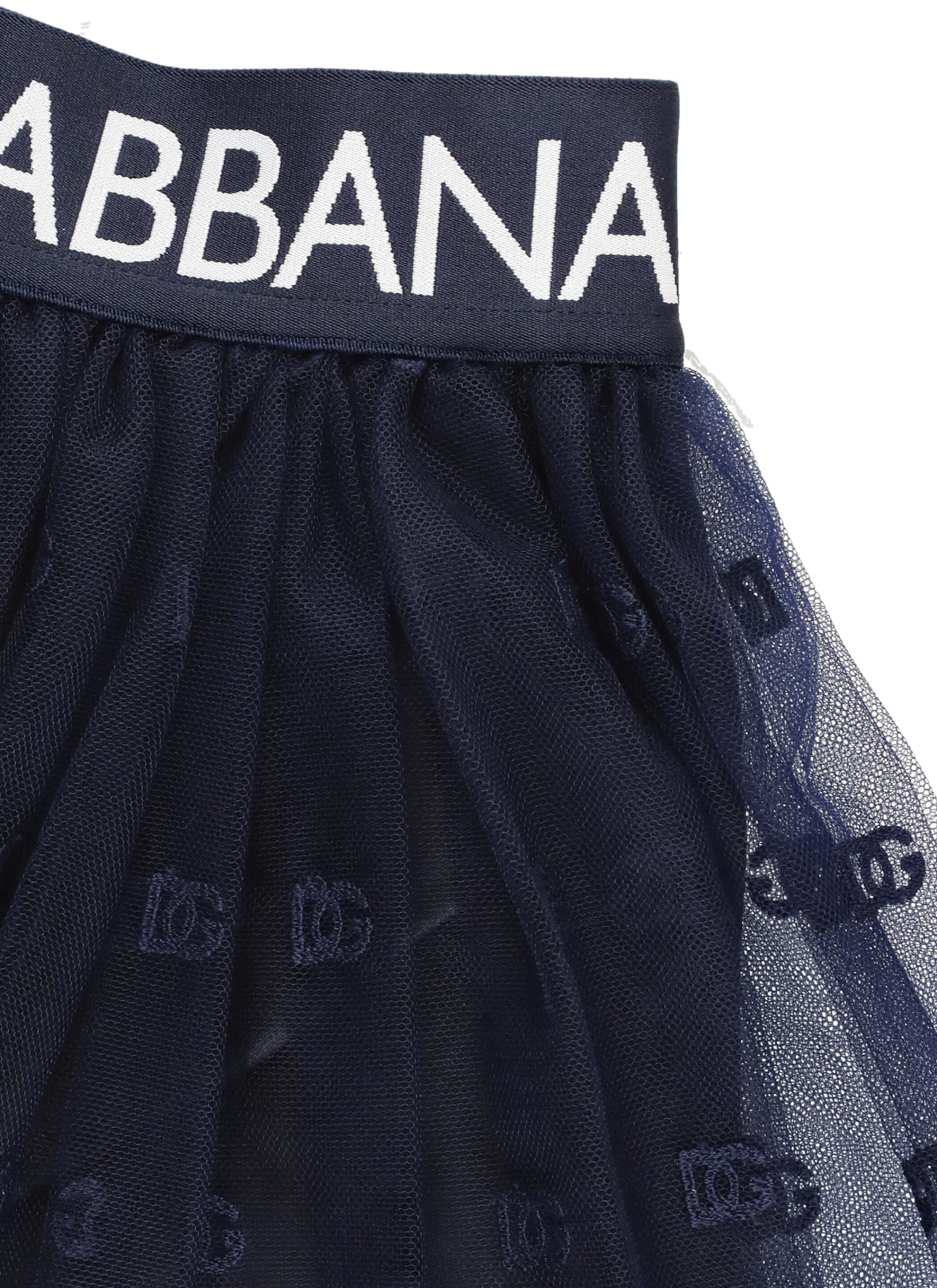 Shop Dolce & Gabbana Tulle Skirt With Monogram In Blue