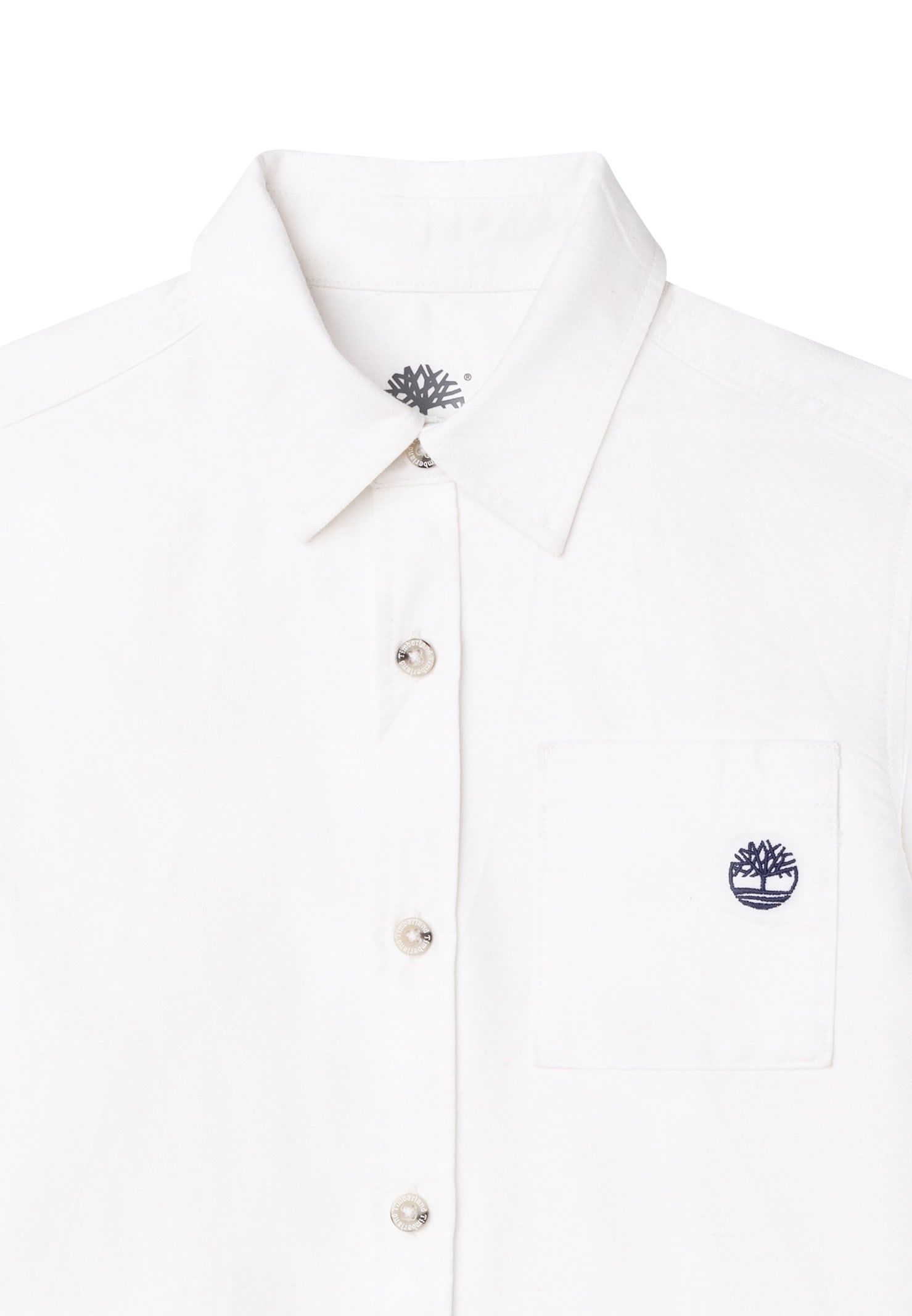 Timberland White Shirt For Boy With Tree In White