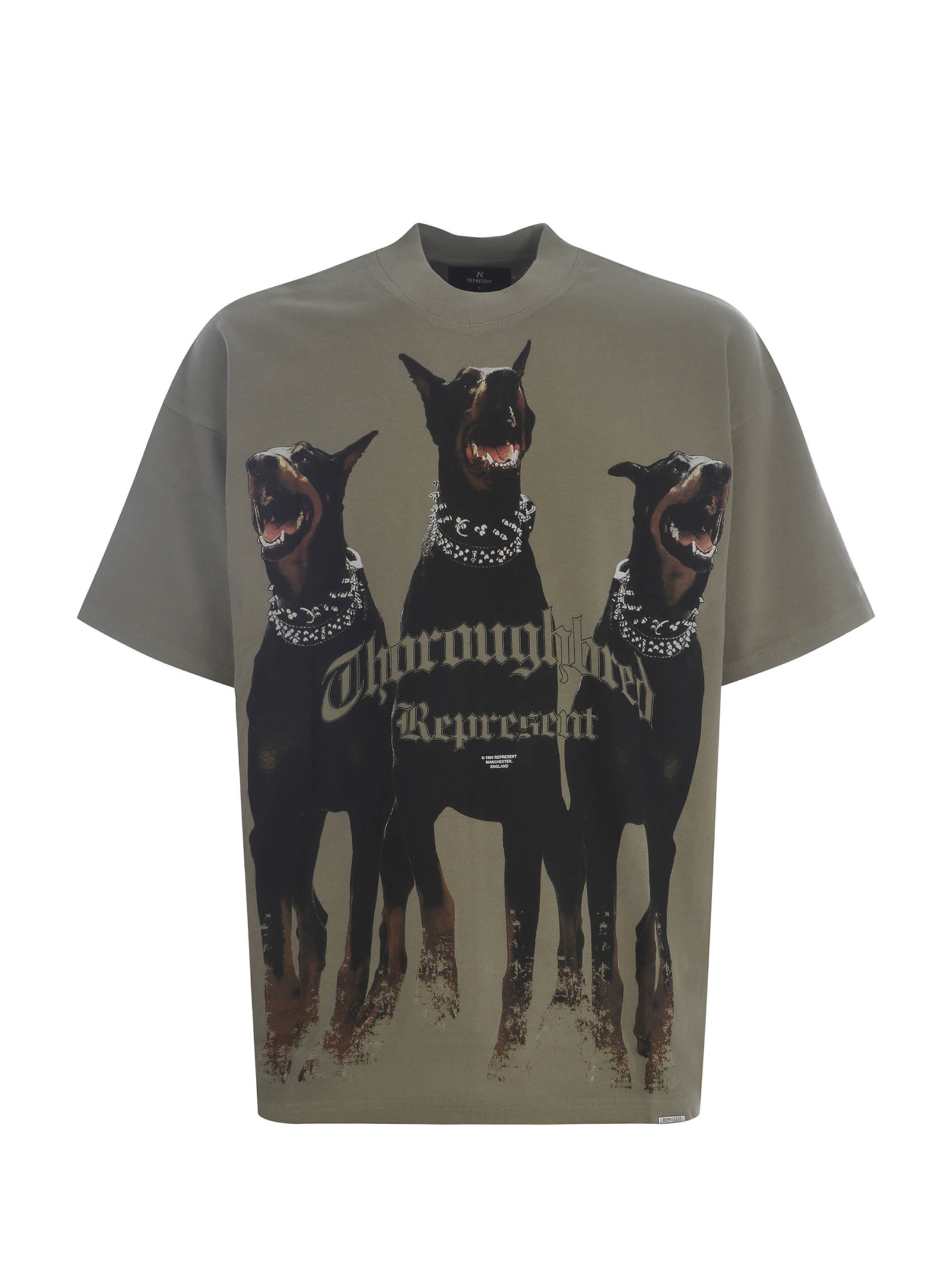 Shop Represent T-shirt  Thoroughbred Made Of Cotton In Kaki