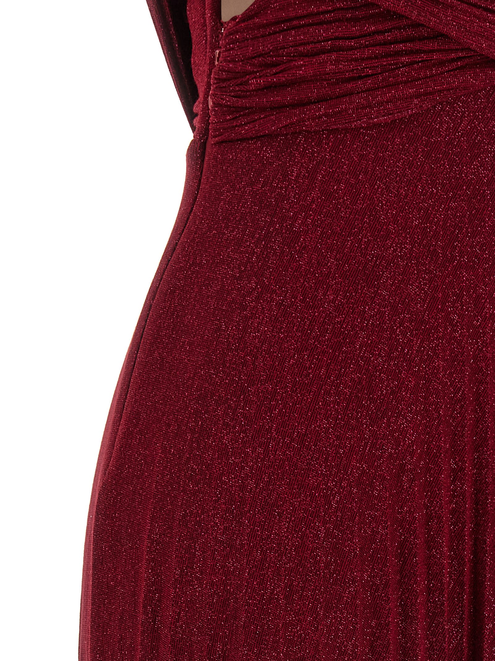 Elisabetta Franchi 'red Carpet' Dress In Burgundy