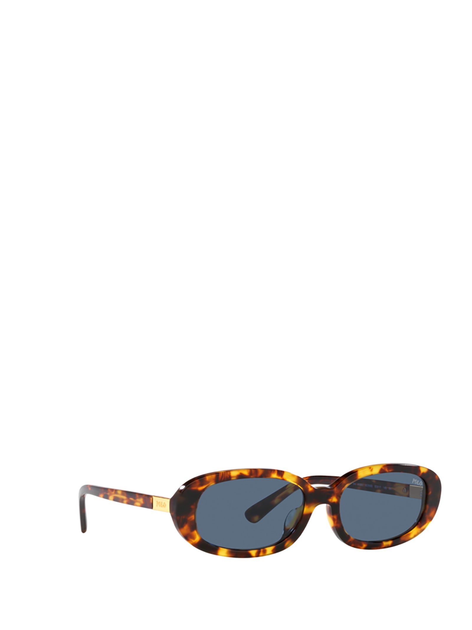 Shop Polo Ralph Lauren Ph4198u Shiny Havana Sunglasses