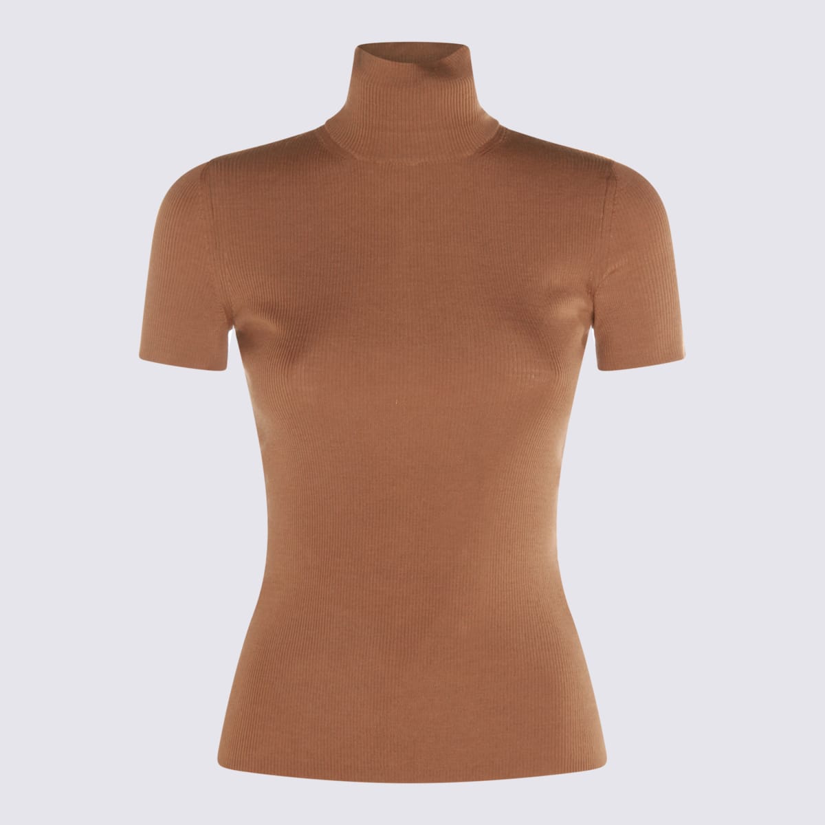 Max Mara Beige Wool Afa1234 Knitwear In Brown