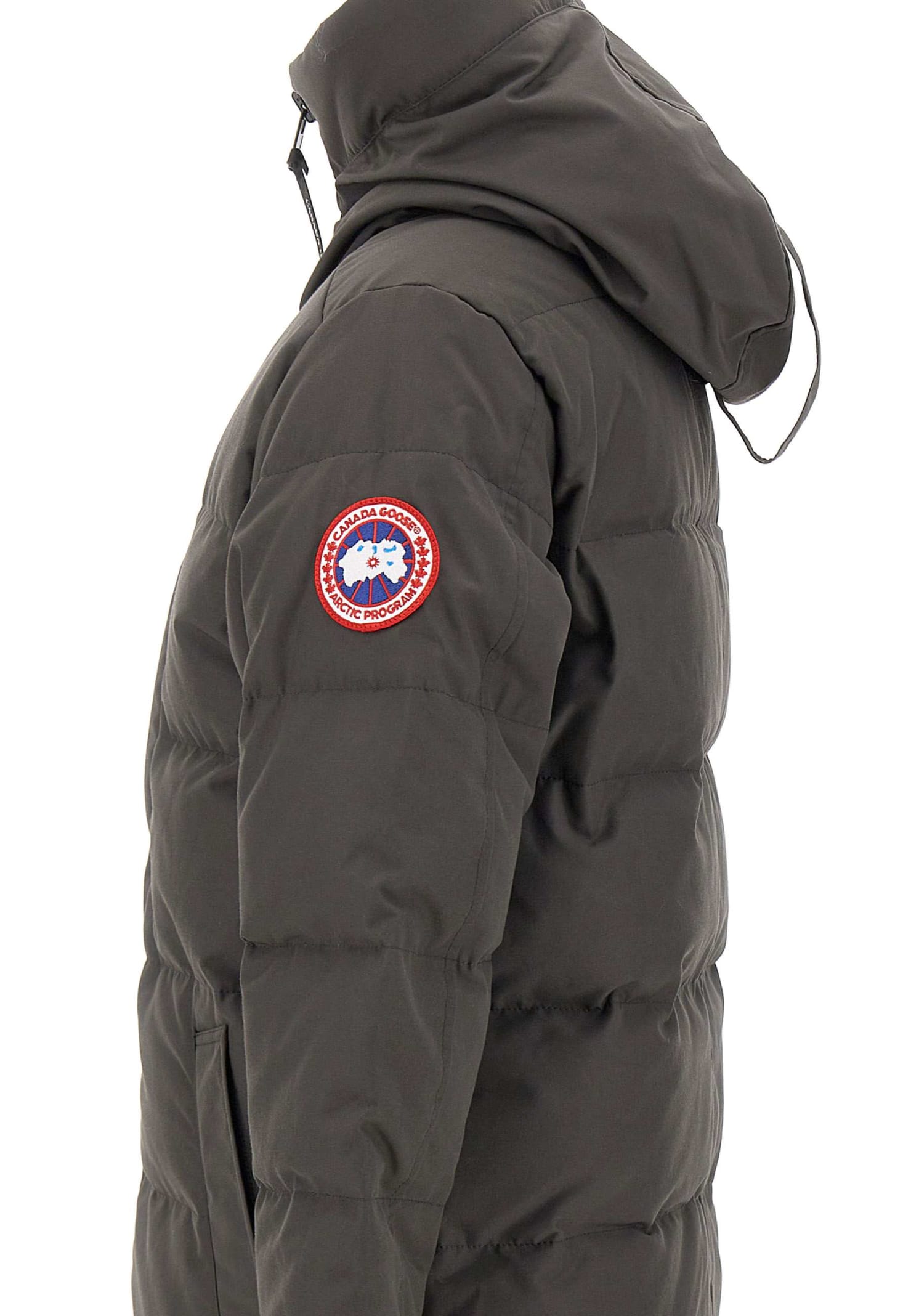 Canada Goose Wyndham Parka In Grey