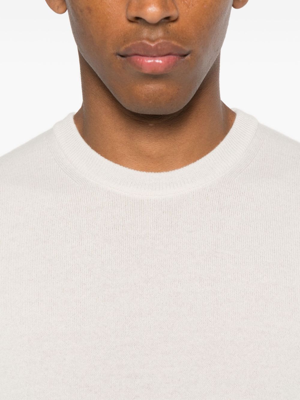 Corneliani Crewneck Sweater In Animal Print