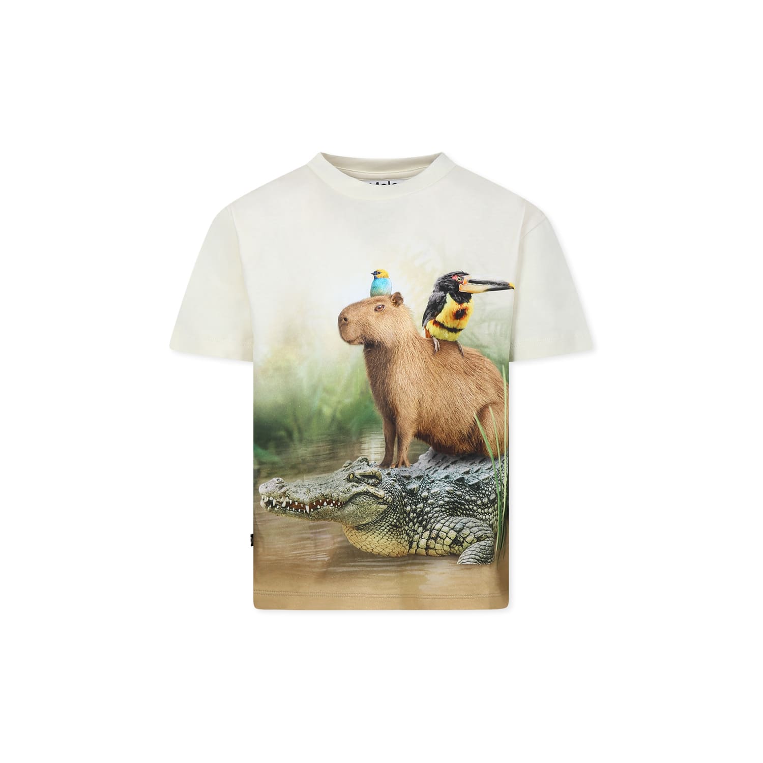 Molo Ivory T-shirt For Boy With Capybara In Ivory