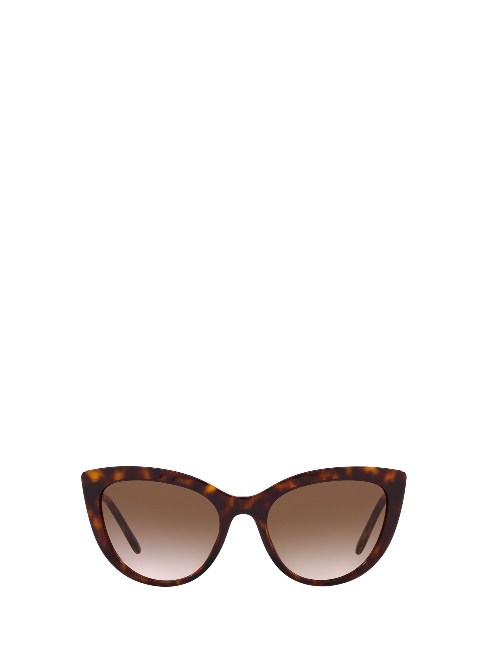 Dolce & Gabbana Eyewear Dg4408 Havana Sunglasses