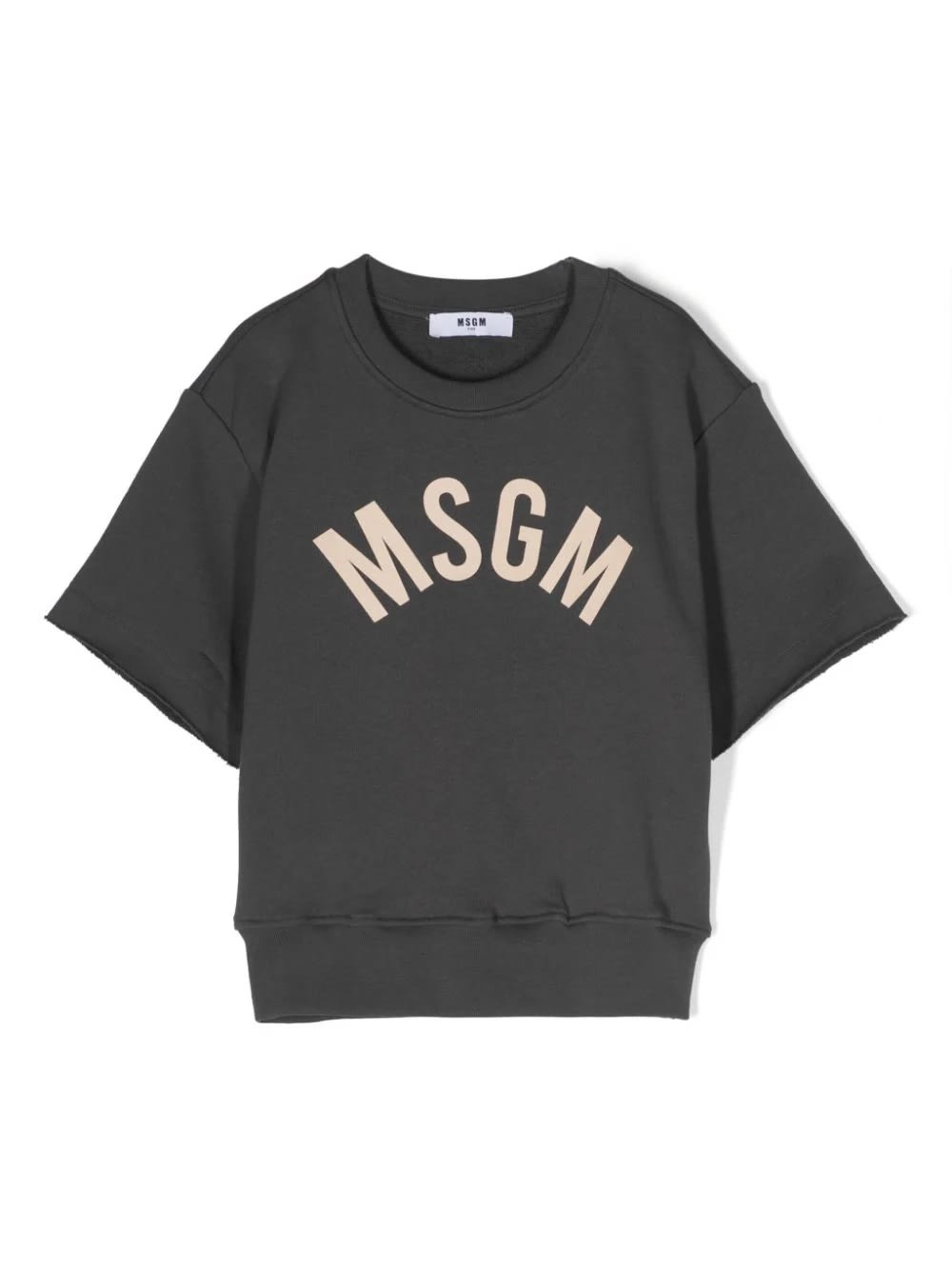 Msgm Kids' Felpa Maniche Corte In Gray
