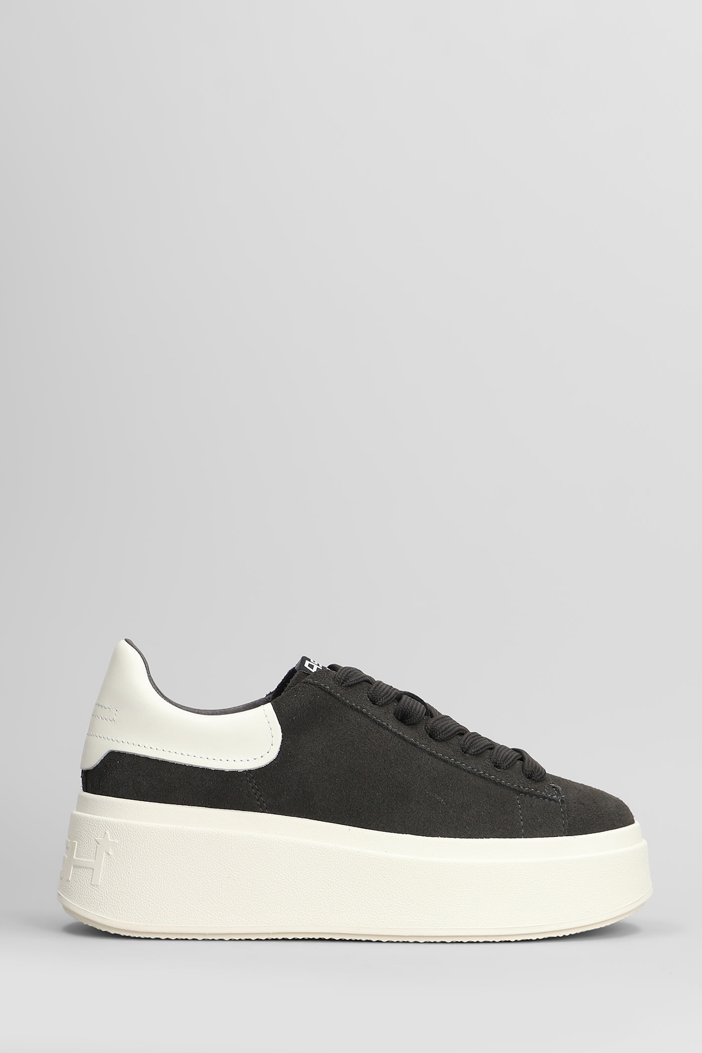 Shop Ash Moby Sneakers In Black Suede