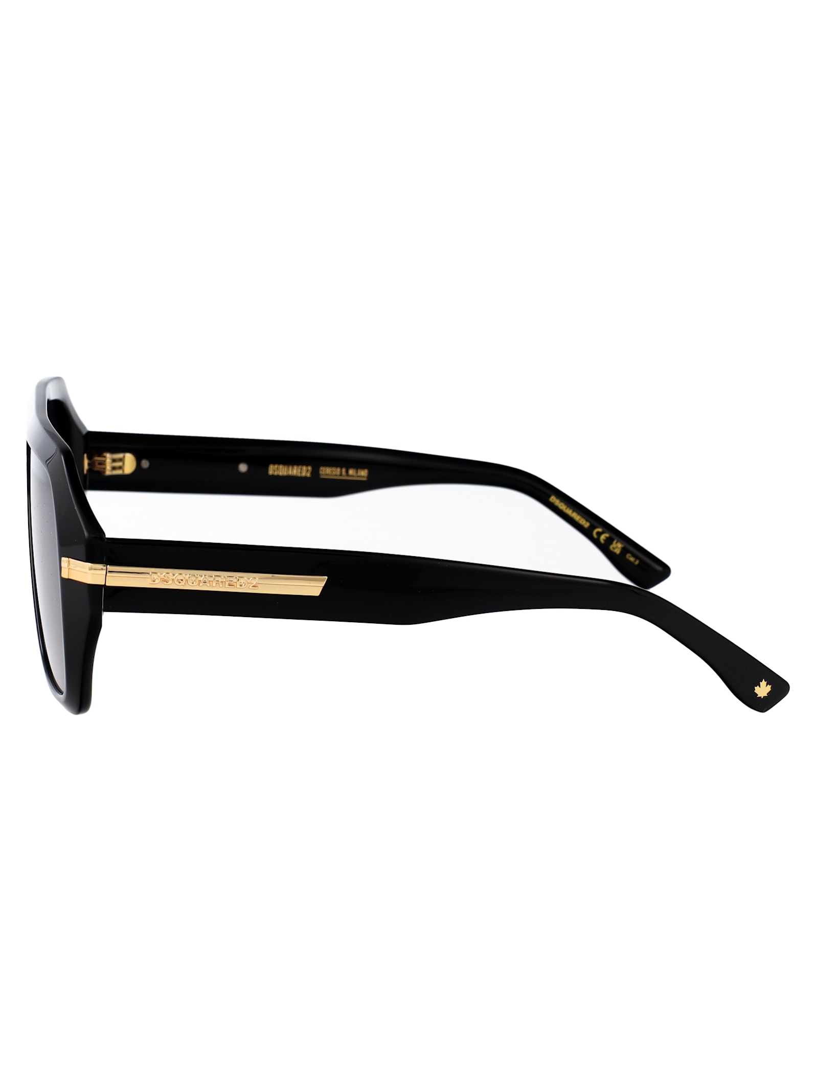 Dsquared2 D2 0088/s Sunglasses In Black