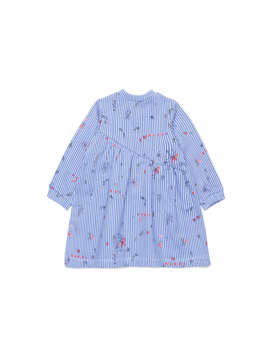 Marni Md45b In Purple