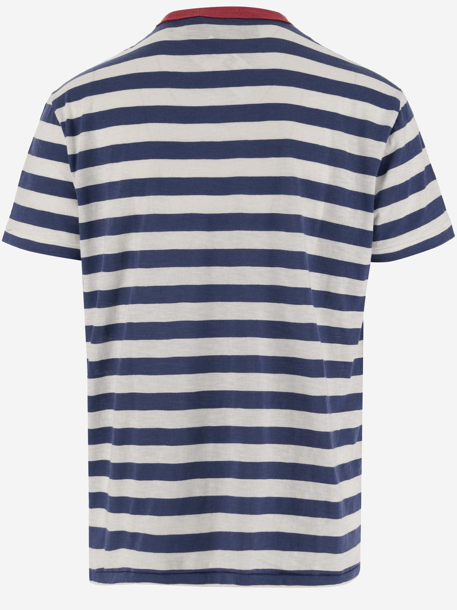 Shop Ralph Lauren Cotton T-shirt With Striped Pattern And Logo In Light Navy Multi