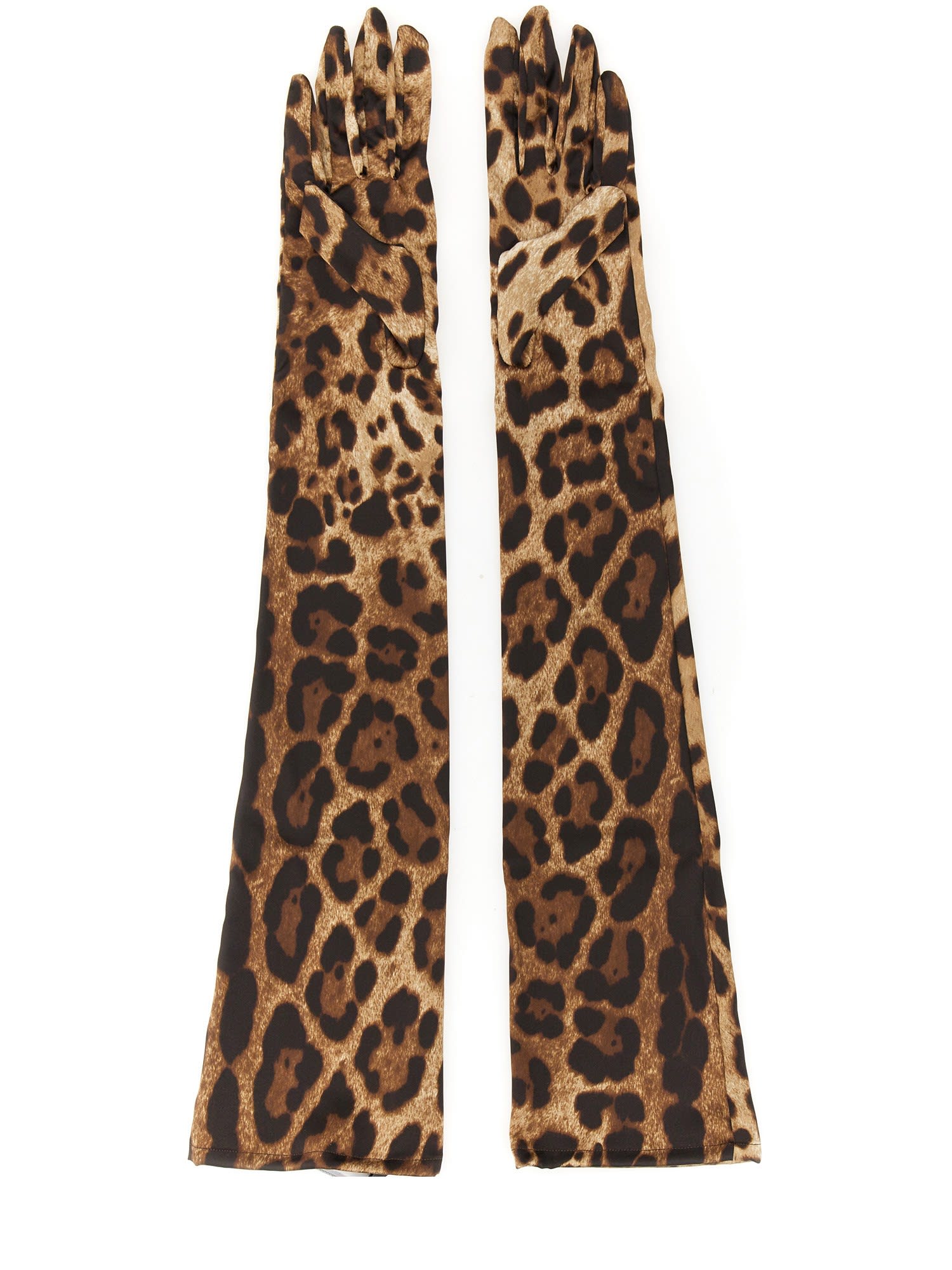 Shop Dolce & Gabbana Long Stretch Gloves In Brown