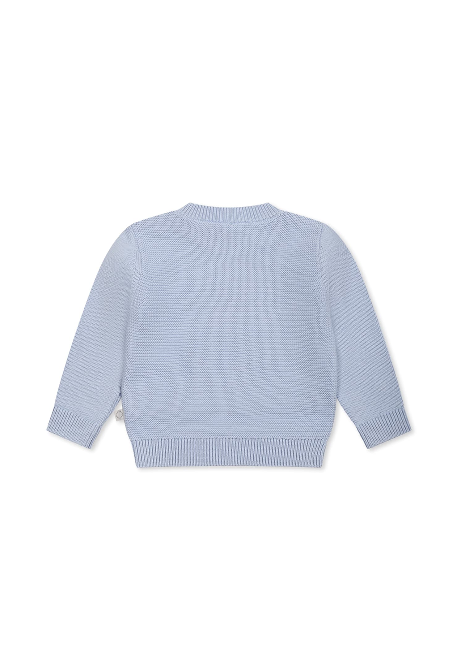 Stella Mccartney Light Blue Sweater For Baby Boy With Frog In Light Blue