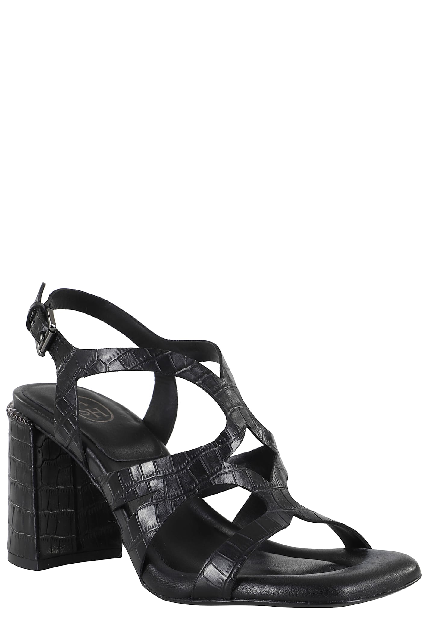 Shop Ash Cocco In Black