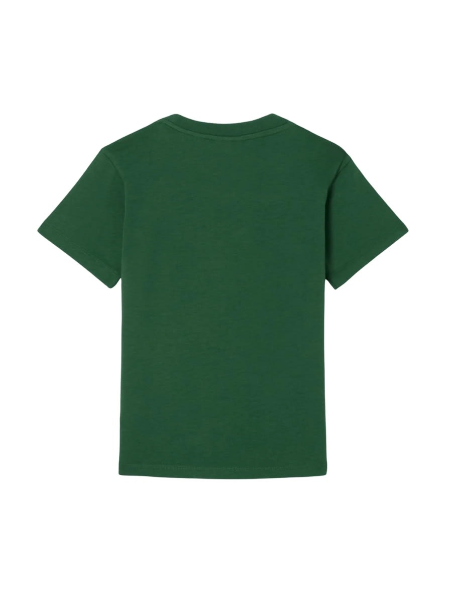 Lacoste T-shirt In Green