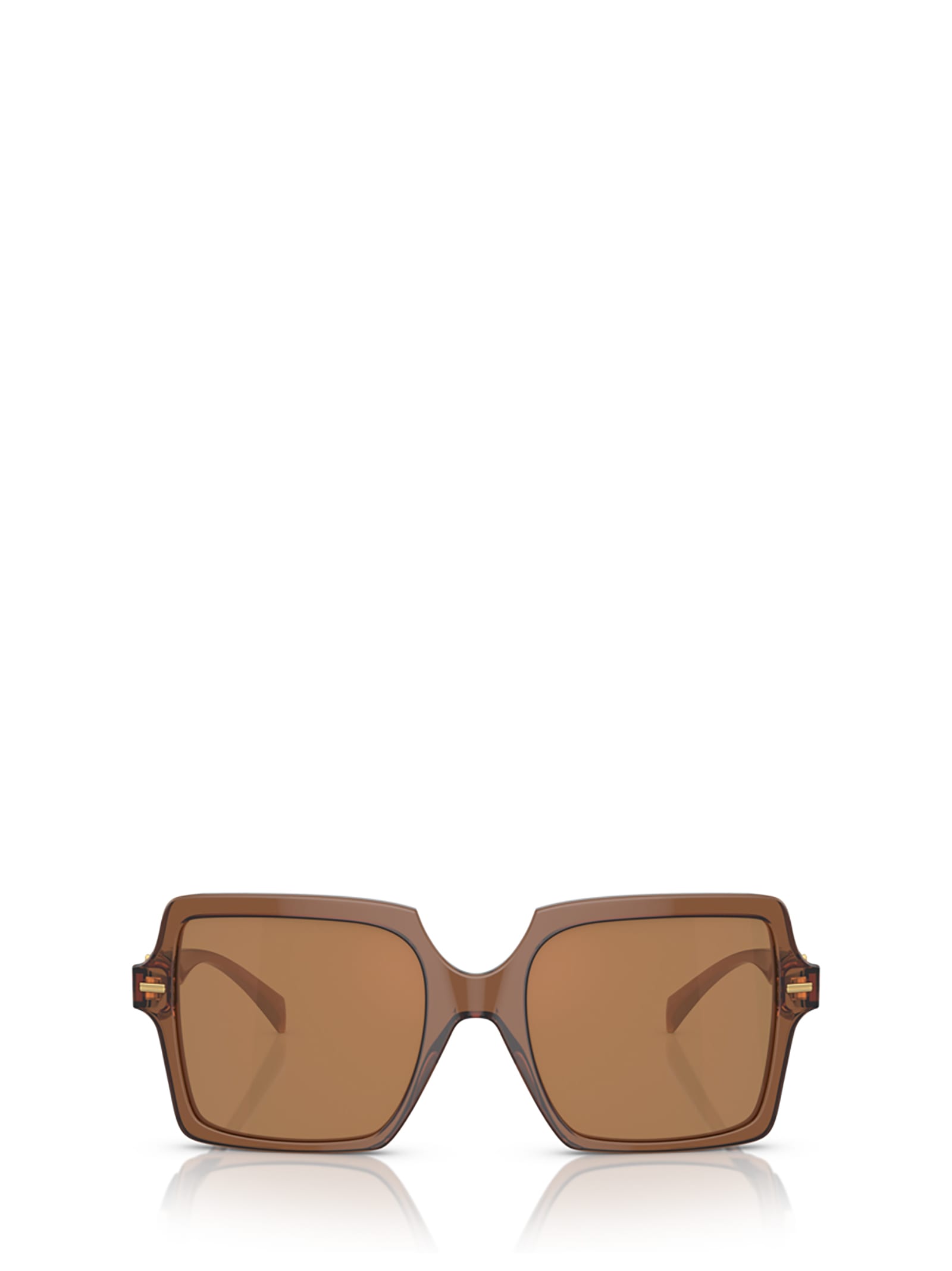 Versace Ve4441 Transparent Brown Sunglasses