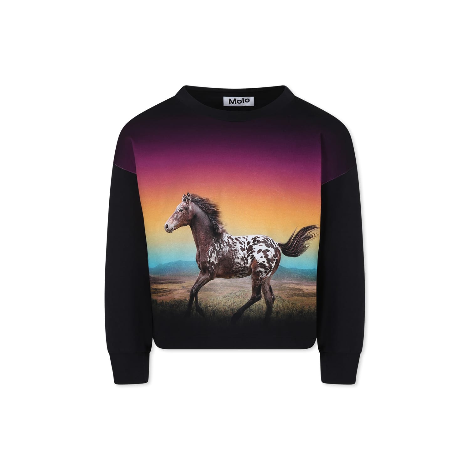 Shop Molo Black T-shirt For Girl With Horse Print