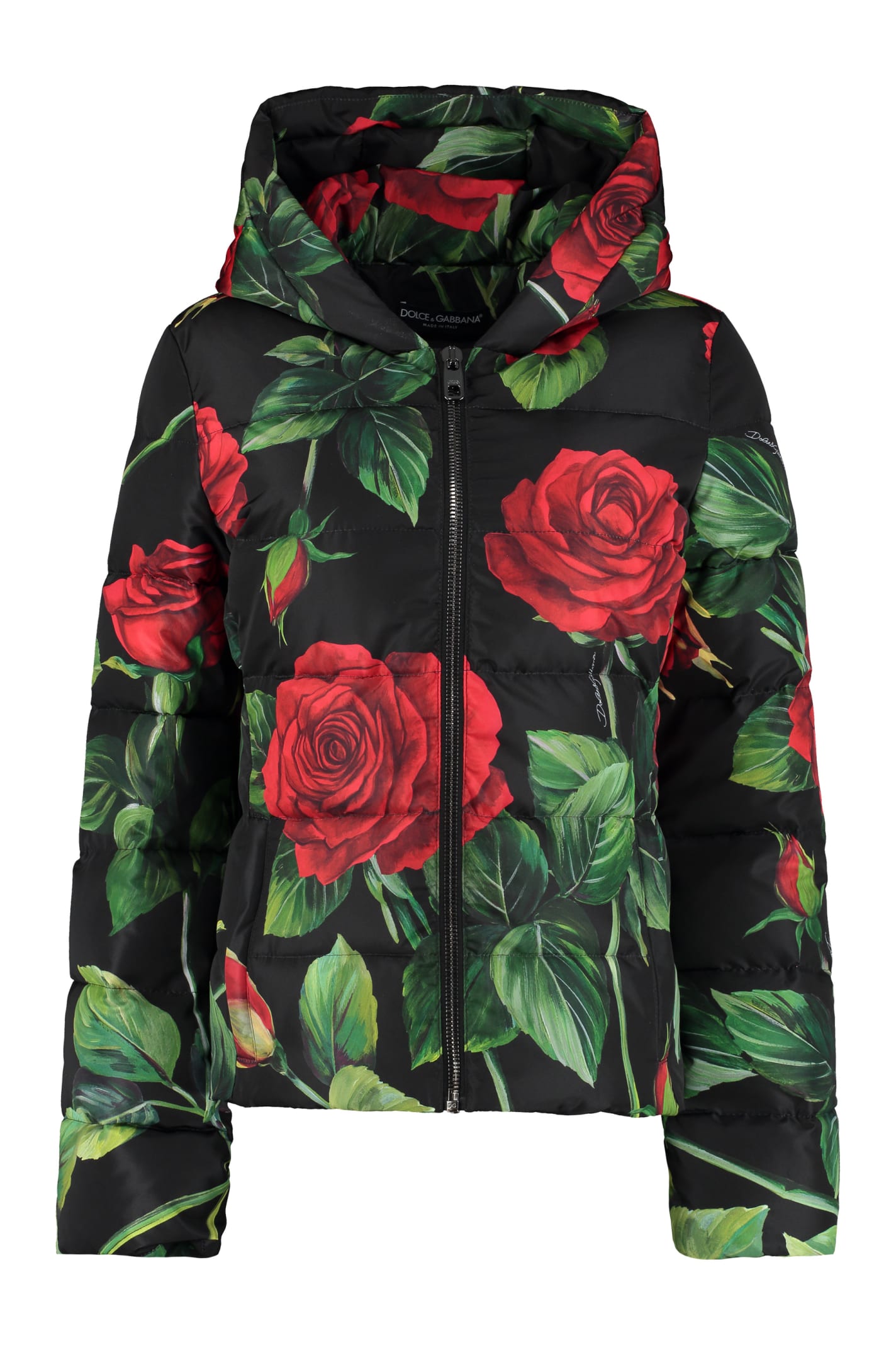 Dolce & Gabbana Floral Print Down Jacket