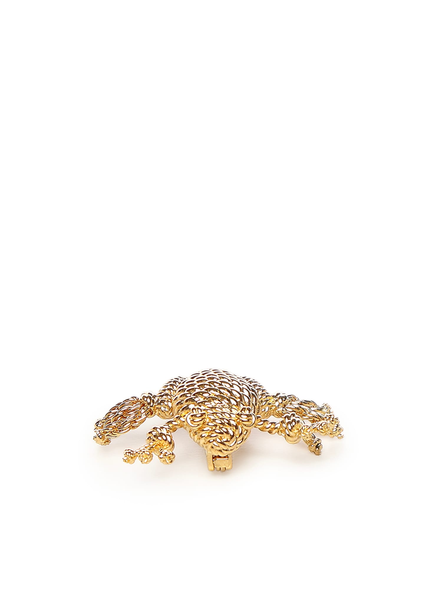 Loewe Frog Brooch In Brown
