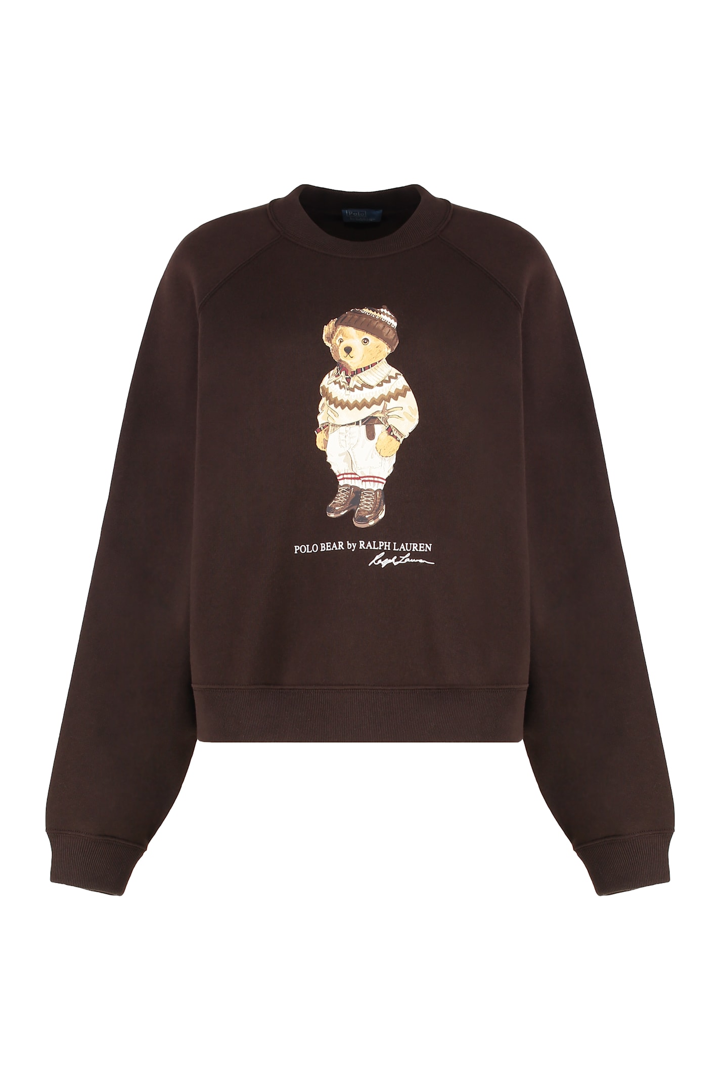 Polo Ralph Lauren Sweatshirt In Cotton In Brown