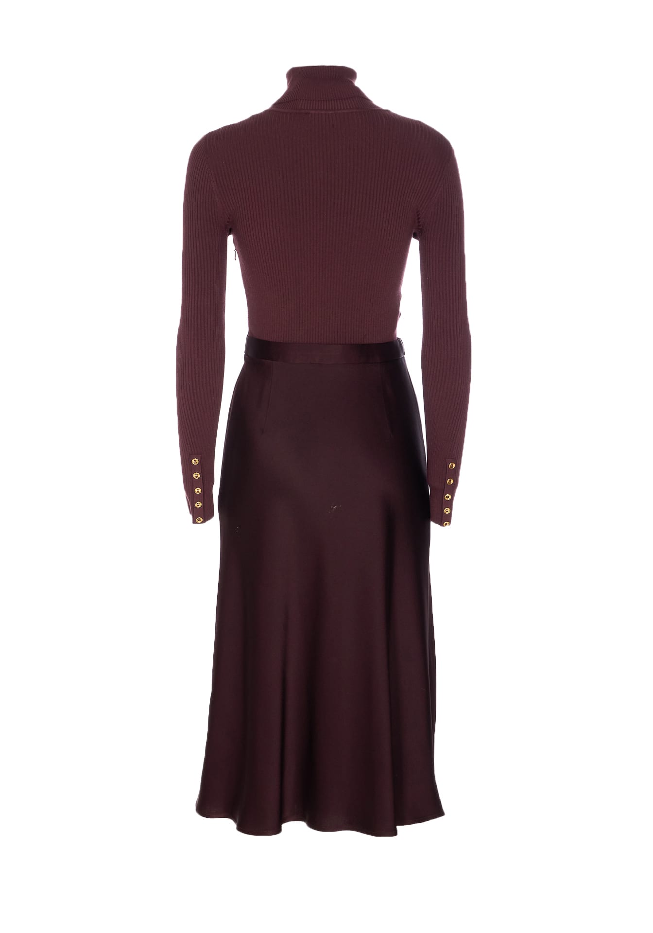 Elisabetta Franchi Long Dress In Burgundy