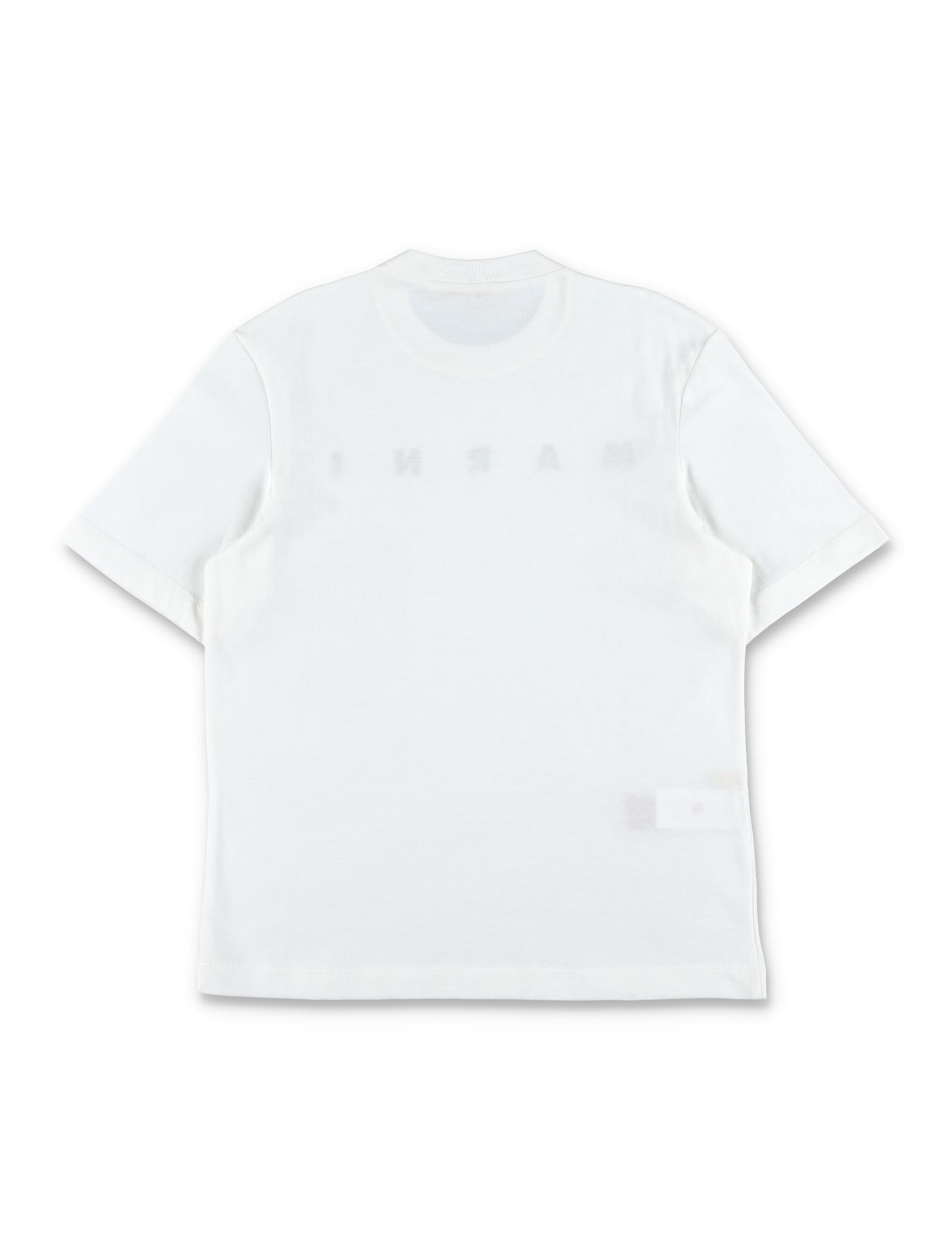 Marni Logo-print Cotton T-shirt In White