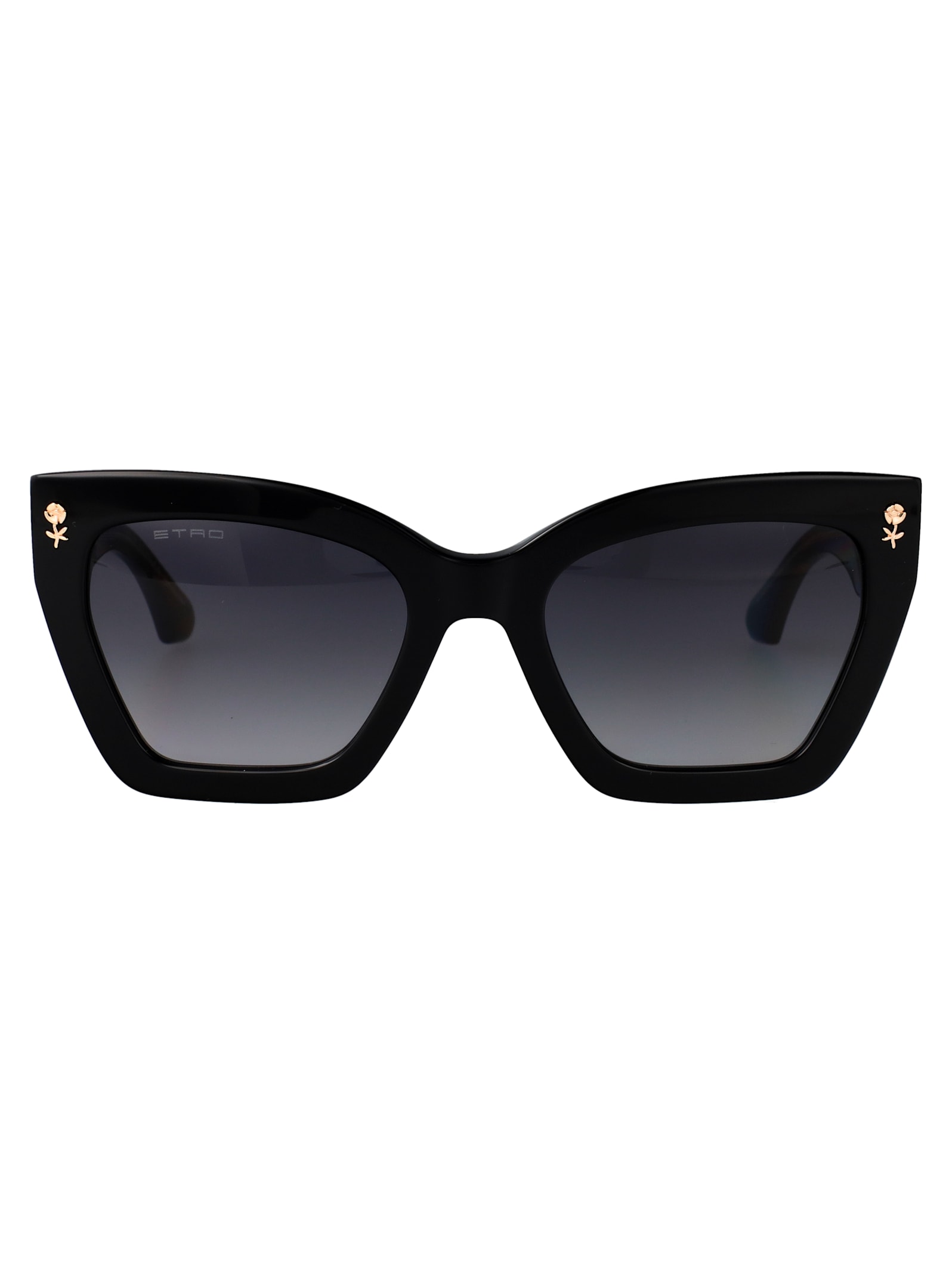 Etro Black Acetate Sunglasses In Brown