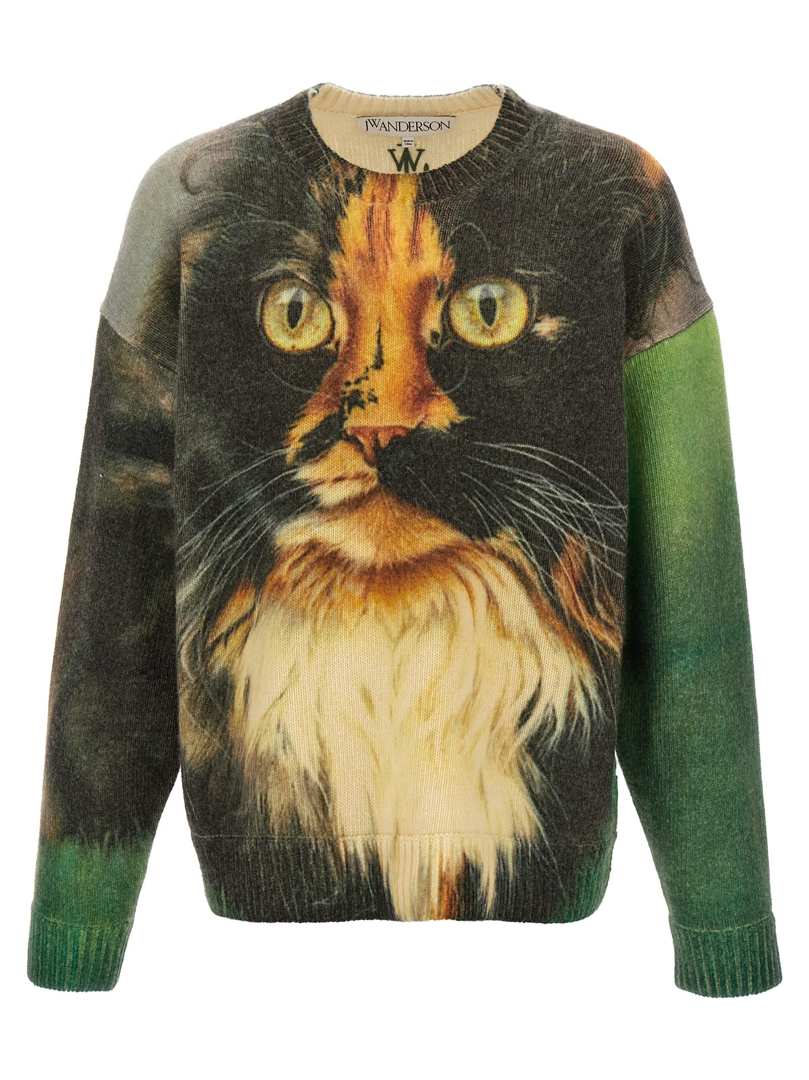 Shop Jw Anderson Cat Print Sweater In Multicolor